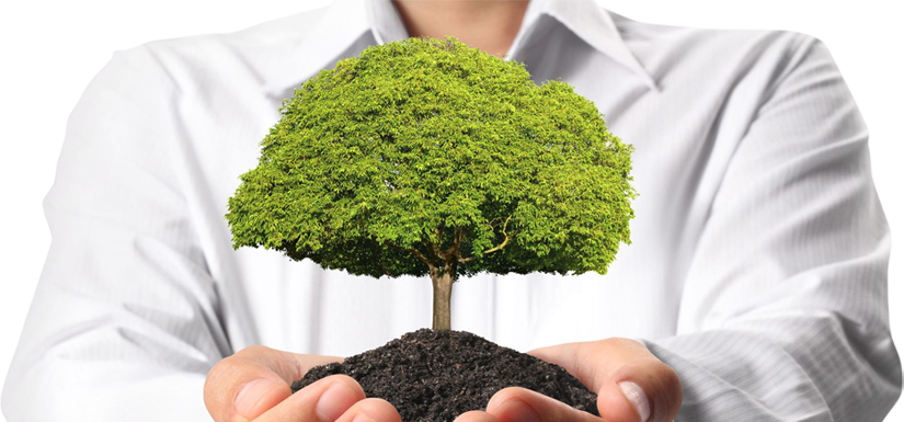 Pravila o korištenju kolačića